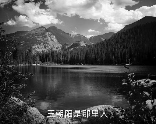 王朝陽，王朝陽是誰呀