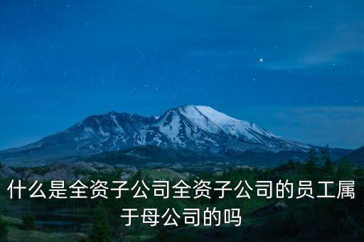 什么是全資子公司全資子公司的員工屬于母公司的嗎