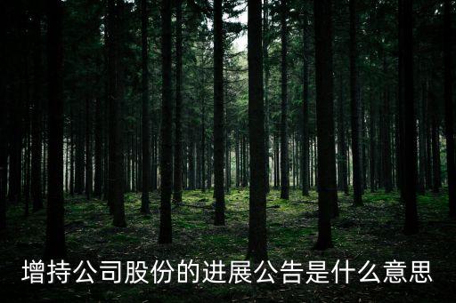 增持股票公告，股東增持股票要公告嗎