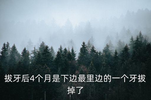 拔牙后4個月是下邊最里邊的一個牙拔掉了