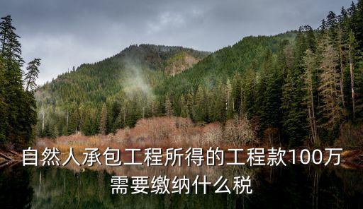 自然人承包工程所得的工程款100萬需要繳納什么稅