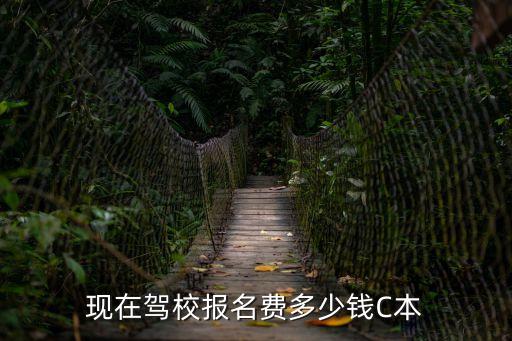 現(xiàn)在駕校報名費多少錢C本