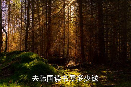 韓國留學一年費用，去韓國留學1年要多少錢