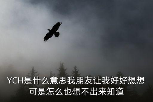 YCH是什么意思我朋友讓我好好想想可是怎么也想不出來(lái)知道