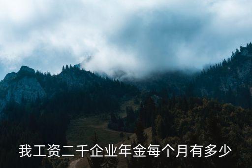 企業(yè)年金怎么算，我工資二千企業(yè)年金每個月有多少