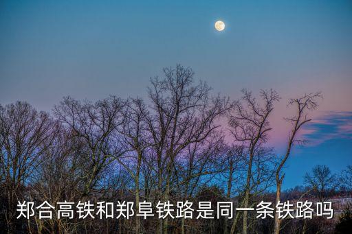 鄭合高鐵和鄭阜鐵路是同一條鐵路嗎