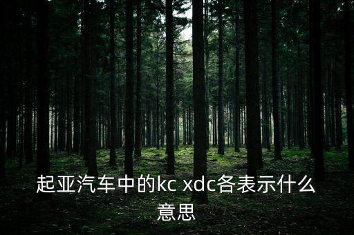 xdc是什么意思，電瓶上標(biāo)注150724 21 002827 GB XKXDC005283什么意思 2
