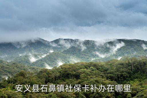 安義縣石鼻鎮(zhèn)社?？ㄑa(bǔ)辦在哪里