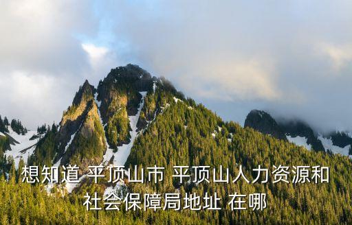 平頂山市人社局，想知道 平頂山市 平頂山人力資源和社會(huì)保障局地址 在哪