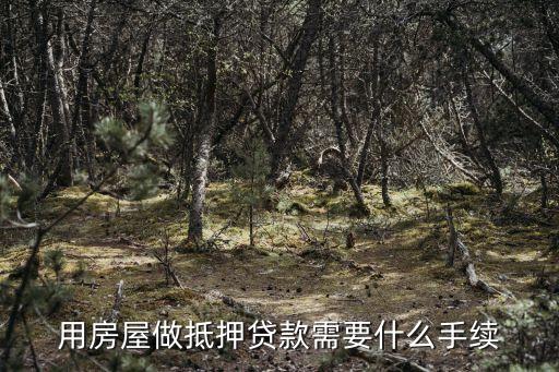 用房屋做抵押貸款需要什么手續(xù)