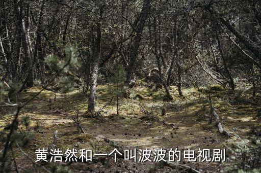 張保生，黃浩然和一個(gè)叫波波的電視劇