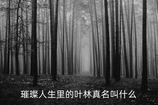葉林，璀璨人生里的葉林真名叫什么