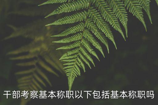 干部考察基本稱(chēng)職以下包括基本稱(chēng)職嗎
