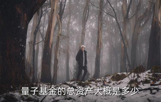 量子基金，量子基金在中國合法嗎