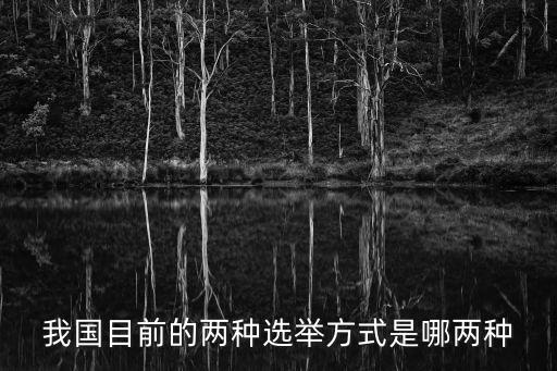 我國目前的兩種選舉方式是哪兩種