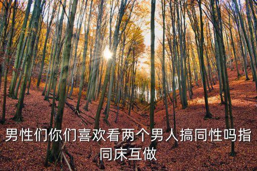 男性們你們喜歡看兩個(gè)男人搞同性嗎指同床互做