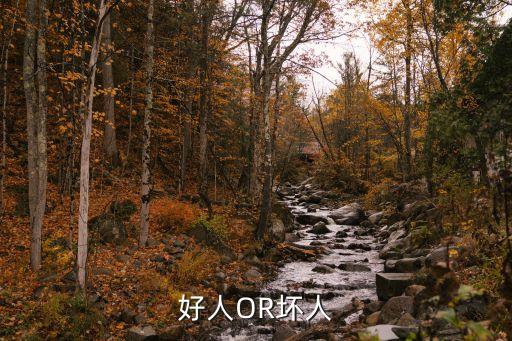 好人OR壞人