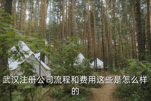 武漢注冊公司，在武漢注冊公司有哪些步驟啊詳細(xì)點(diǎn)本人第一次注冊資金