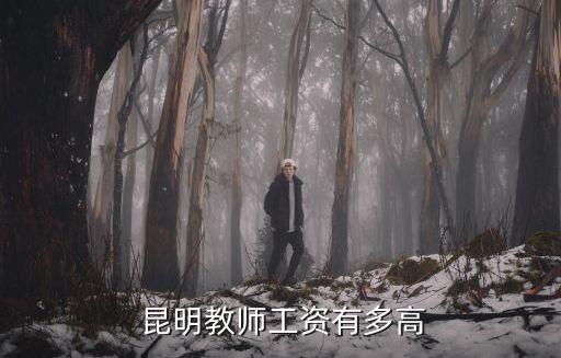 教師待遇，云南昭通教師的工資是多少