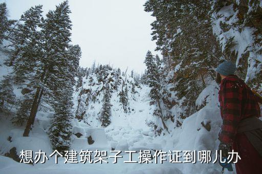 架子工特種作業(yè)證，在那里辦理架工證