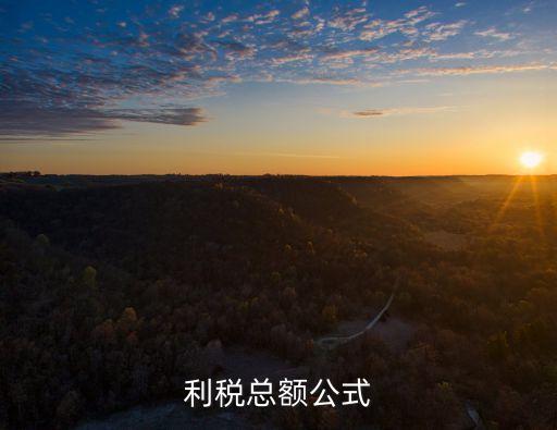 利稅總額計算公式，利稅總額如何計算