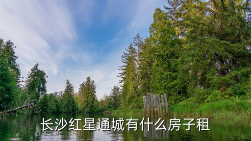 通城租房，長(zhǎng)沙紅星通城有什么房子租