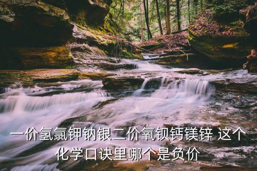 一價氫氯鉀鈉銀二價氧鋇鈣鎂鋅 這個化學口訣里哪個是負價