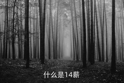 十四薪是什么意思，十四月薪制什么意思啊