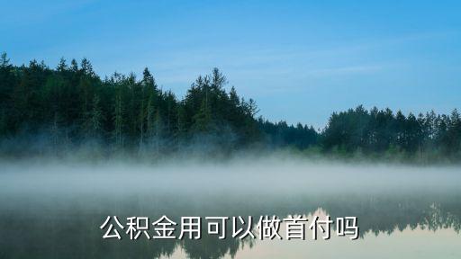 公積金用可以做首付嗎