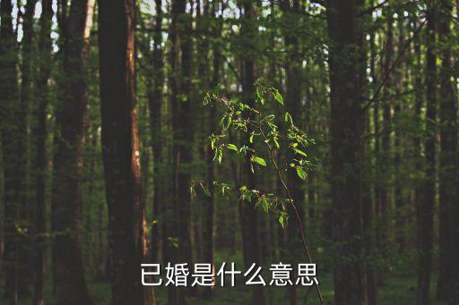 已婚是什么意思