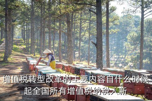 增值稅轉(zhuǎn)型改革的主要內(nèi)容自什么時(shí)候起全國所有增值稅納稅人新