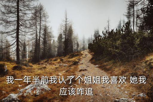 狠狠干姐姐，我想追我干姐姐怎么辦