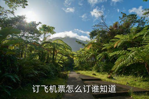 訂飛機(jī)票怎么訂誰知道