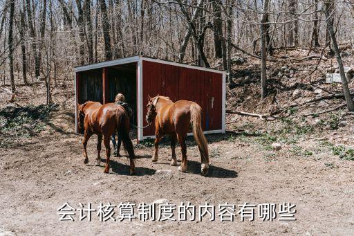 會(huì)計(jì)核算制度的內(nèi)容有哪些