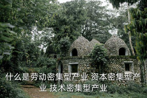 什么是勞動(dòng)密集型產(chǎn)業(yè) 資本密集型產(chǎn)業(yè) 技術(shù)密集型產(chǎn)業(yè)