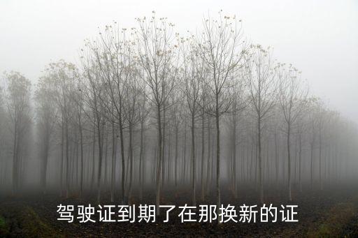 駕駛證到期了在那換新的證