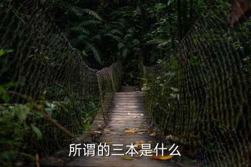 所謂的三本是什么