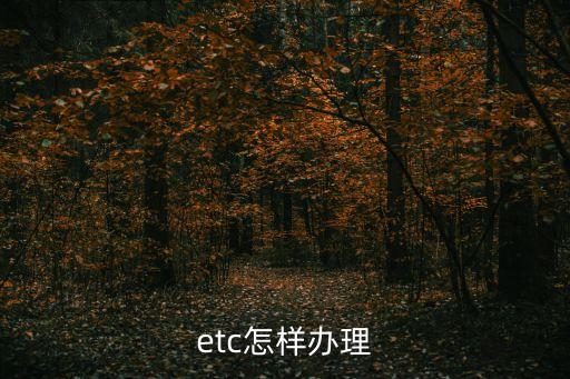 etc怎樣辦理