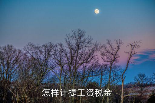 計提稅金，怎樣計提工資稅金