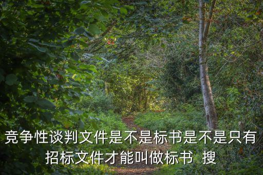 競爭性談判文件是不是標(biāo)書是不是只有招標(biāo)文件才能叫做標(biāo)書  搜