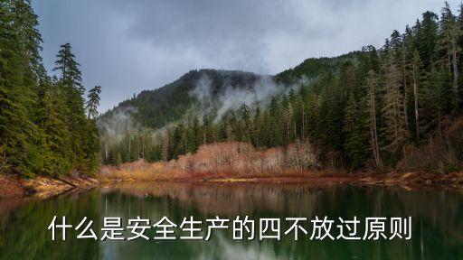 什么是安全生產(chǎn)的四不放過原則