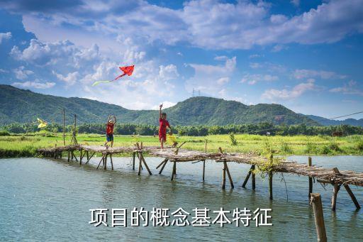 項(xiàng)目的定義，項(xiàng)目一詞怎么解釋