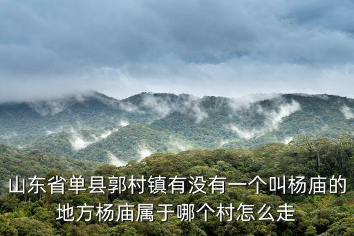 山東省單縣郭村鎮(zhèn)有沒(méi)有一個(gè)叫楊廟的地方楊廟屬于哪個(gè)村怎么走