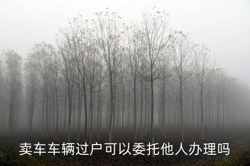 賣車車輛過戶可以委托他人辦理嗎
