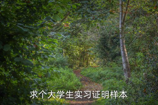 實習證明模板，求個大學生實習證明樣本