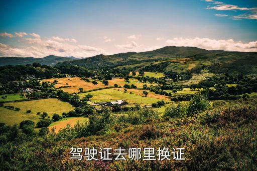 駕駛證在哪里換證，駕駛證去哪里換證