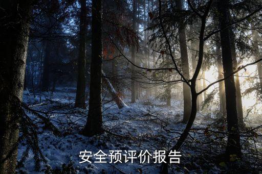 安評報告，安全評價報告格式怎么做