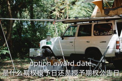 option award date是什么期權(quán)授予日還是授予期權(quán)公告日