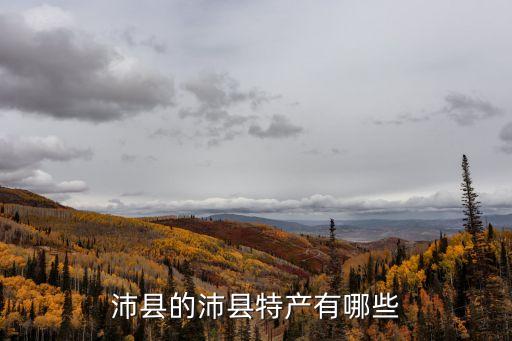 沛縣在哪，沛縣以前屬于那個(gè)省