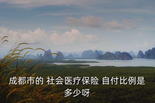 成都市的 社會醫(yī)療保險 自付比例是多少呀